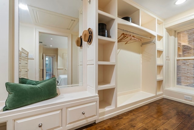 mudroom featuring dark wood-type flooring