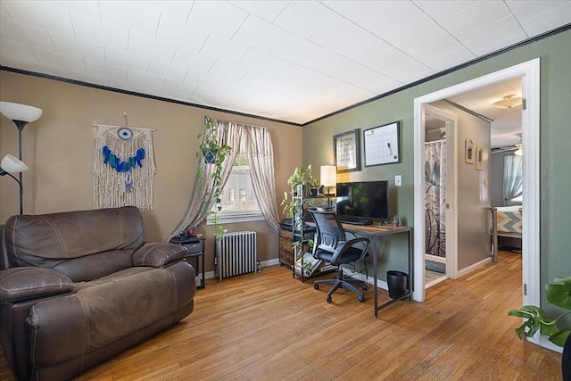 85 Pinehurst Ave, Auburn, MA 01501 - home office featuring radiator heating unit, light wood-style floors, crown molding, and baseboards
