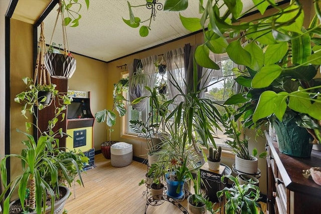 85 Pinehurst Ave, Auburn, MA 01501 - view of sunroom