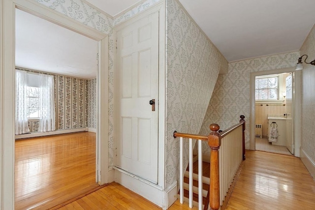 hall with a baseboard radiator, radiator, and light hardwood / wood-style flooring