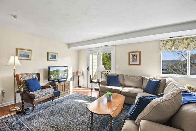 living room featuring hardwood / wood-style floors