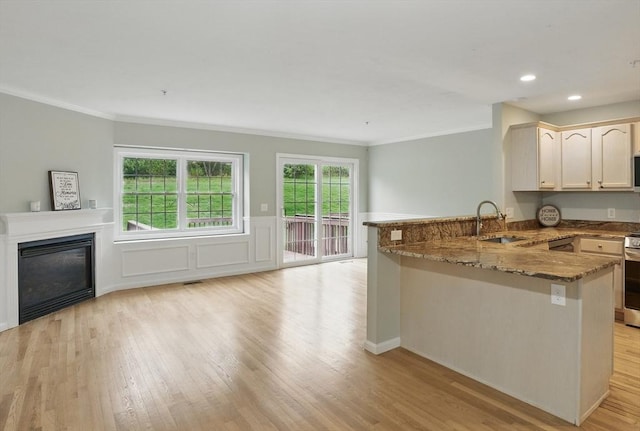 kitchen featuring a sink, a peninsula, crown molding, open floor plan, and stone countertops