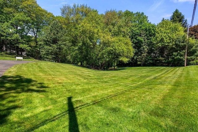 64 Bakers Hill Rd, Weston, MA 02493 - view of grassy yard