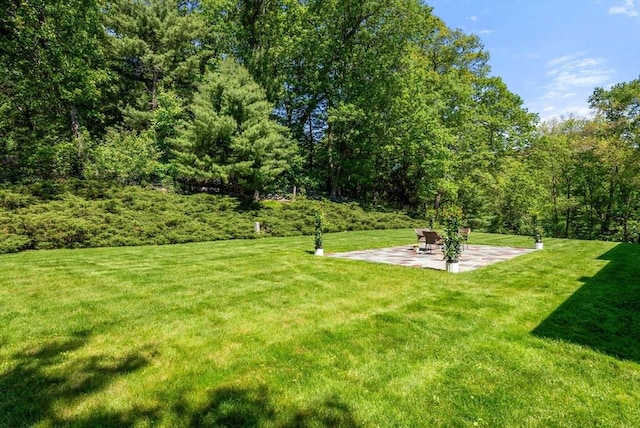 64 Bakers Hill Rd, Weston, MA 02493 - view of green lawn with a patio
