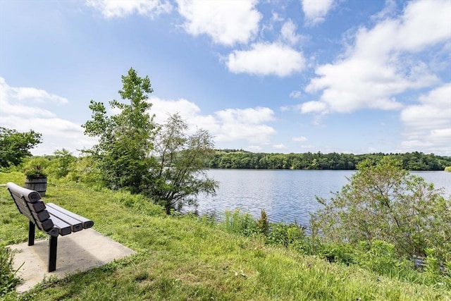 108 Arlington Rd, Woburn, MA 01801 - water view featuring a forest