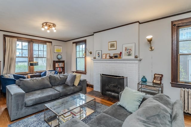living area with radiator, a fireplace, a wealth of natural light, ornamental molding, and wood finished floors