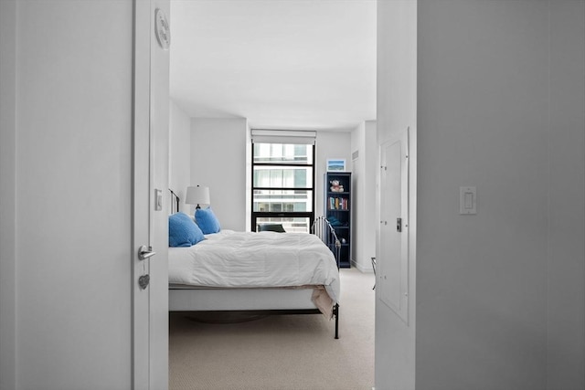 580 Washington St Unit 411, Boston, MA 02111 - bedroom featuring carpet floors and baseboards