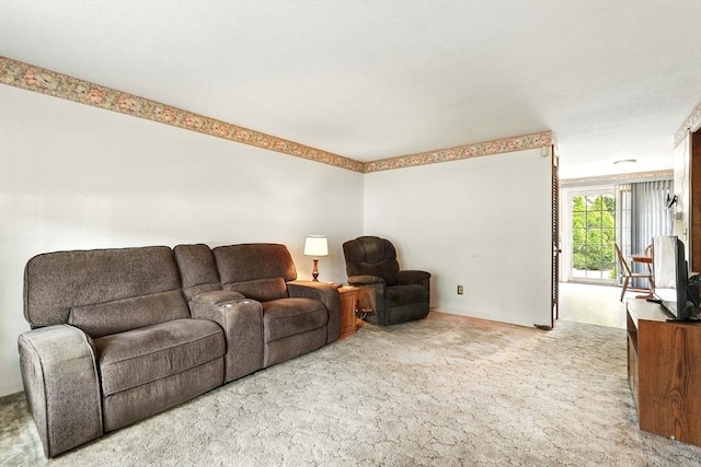116 Corey Colonial Unit 116, Agawam, MA 01001 - view of carpeted living area