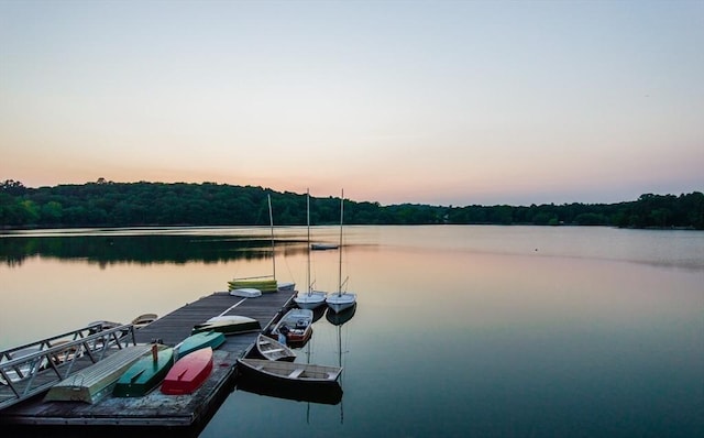 dock area featuring a water view