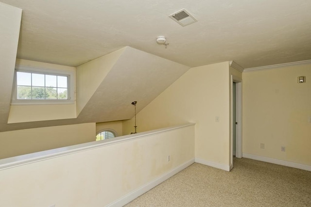 61 Providence Rd Unit 4, Grafton, MA 01519 - bonus room featuring baseboards, carpet, and lofted ceiling