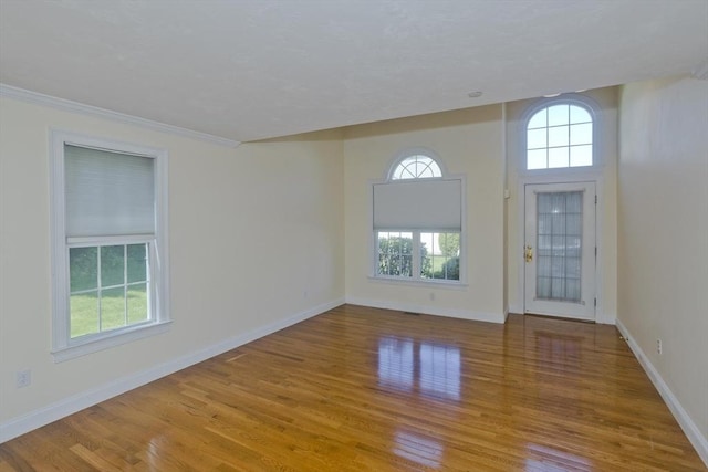 61 Providence Rd Unit 4, Grafton, MA 01519 - foyer entrance with wood finished floors, baseboards, and ornamental molding