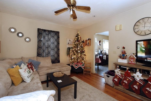 living room with ceiling fan and hardwood / wood-style floors