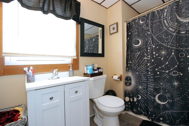 bathroom featuring vanity, hardwood / wood-style flooring, and toilet