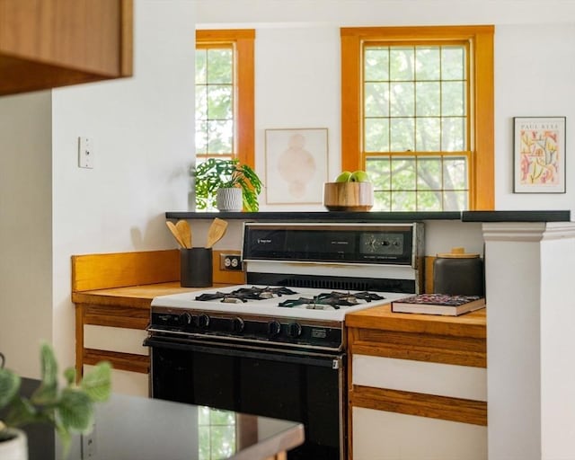 87 Bristol St Unit 3C, Cambridge, MA 02139 - kitchen with gas range