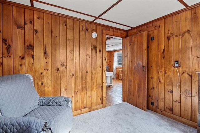 living area featuring carpet floors and wood walls