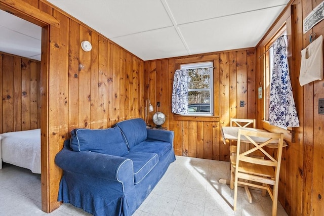 living area featuring wood walls