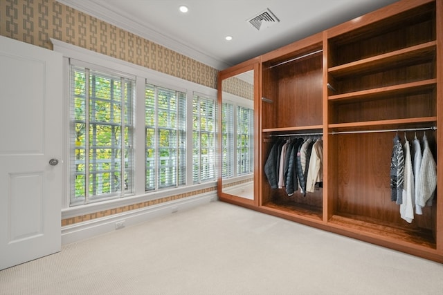 interior space with crown molding, carpet flooring, and plenty of natural light