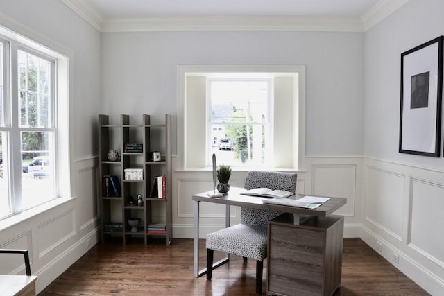 26 Dalby St, Newton, MA 02458 - office featuring a decorative wall, wood finished floors, crown molding, and a wainscoted wall