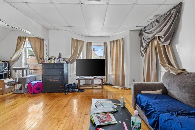 10 Atkins Ave, Lynn, MA 01904 - living room with a drop ceiling, hardwood / wood-style floors, and plenty of natural light