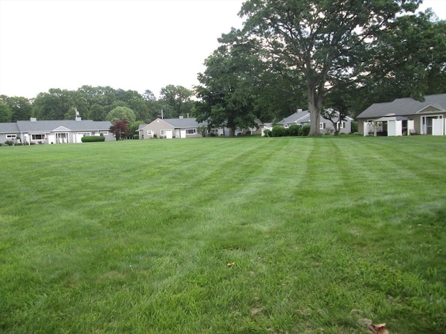 26 Horseshoe Dr Unit 26, Chicopee, MA 01022 - view of green lawn featuring view of scattered trees