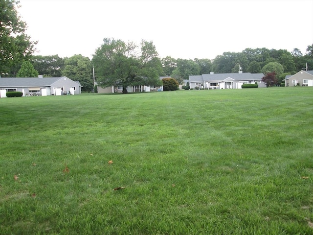 26 Horseshoe Dr Unit 26, Chicopee, MA 01022 - view of grassy yard with view of scattered trees and a carport