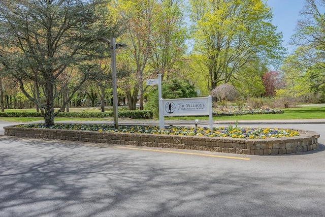 view of home's community