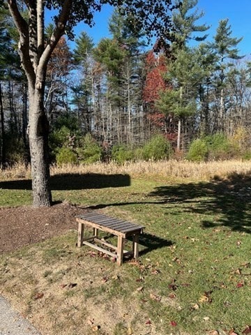 view of community with a lawn