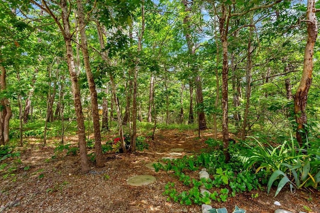 view of local wilderness