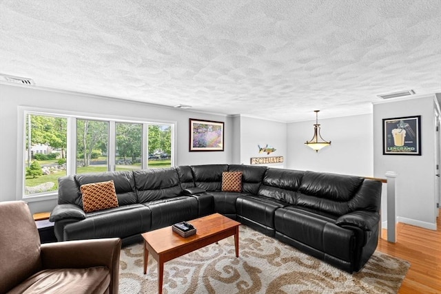 382 Tilden Rd, Scituate, MA 02066 - living room with a textured ceiling, healthy amount of natural light, and light wood-style floors