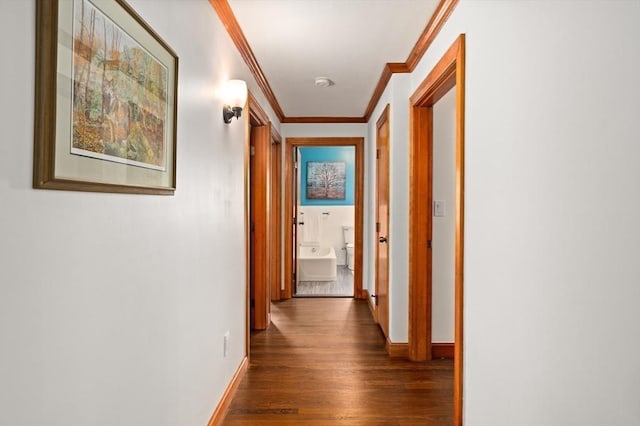58 Spring St, Wakefield, MA 01880 - hall featuring crown molding, dark wood finished floors, and baseboards