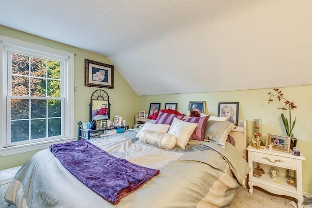 7 Mount Dustin Ave, Haverhill, MA 01832 - bedroom with lofted ceiling and carpet floors