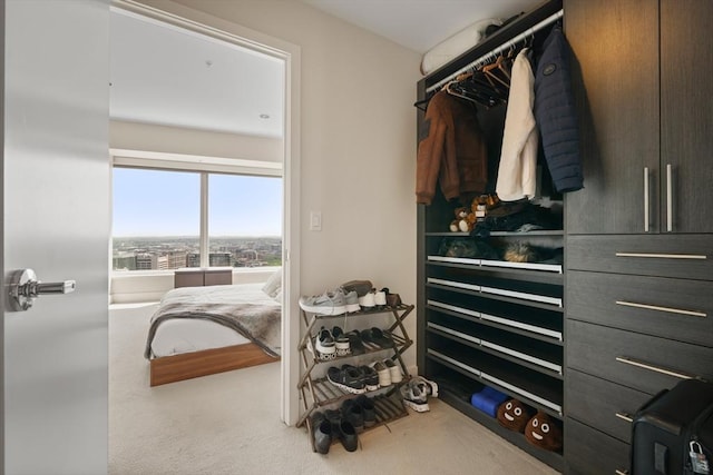 110 Stuart St Unit 24H, Boston, MA 02116 - walk in closet with carpet