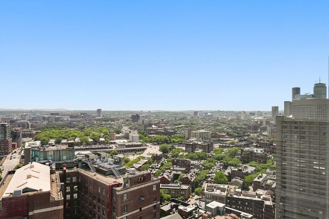 110 Stuart St Unit 24H, Boston, MA 02116 - view of city