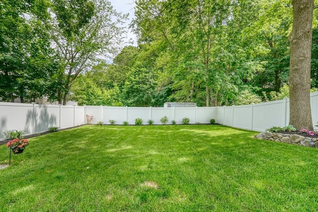 215 Curve, Dedham, MA 02026 - view of yard