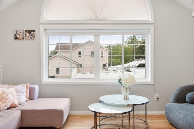 2 Pinebrook Ln, Worcester, MA 01609 - living area with light wood-style floors, baseboards, and lofted ceiling