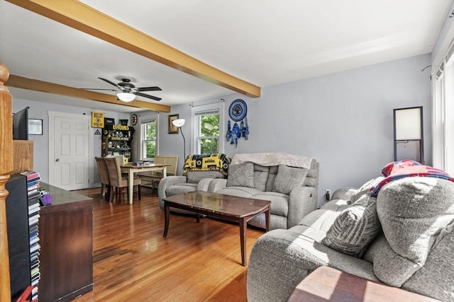 20 King St, Wilmington, MA 01887 - living area featuring wood finished floors, beam ceiling, and a ceiling fan