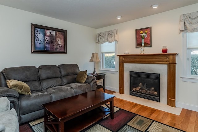 living room featuring hardwood / wood-style flooring