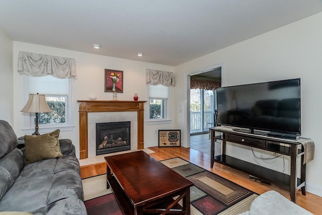 living room with hardwood / wood-style flooring