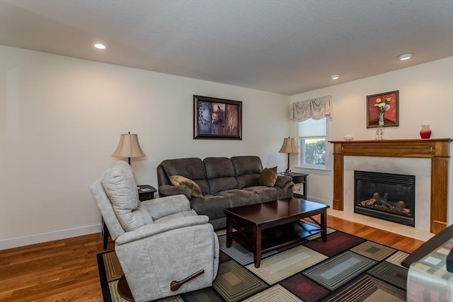 living room featuring hardwood / wood-style floors and a premium fireplace