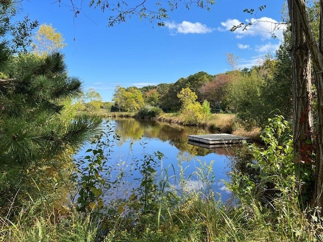 water view featuring a dock