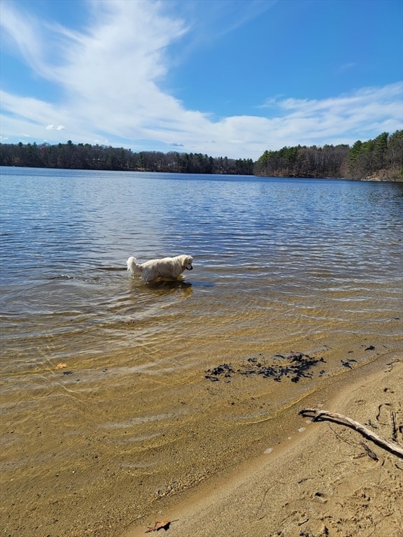 water view