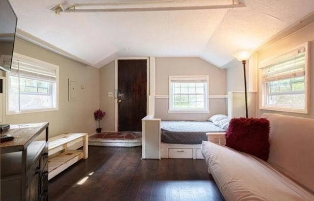 bedroom featuring dark wood-type flooring and vaulted ceiling