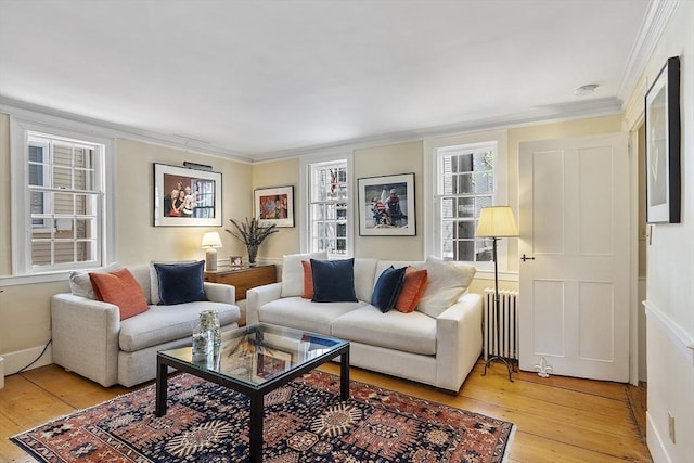 20 Andrew St, Salem, MA 01970 - living area with ornamental molding, a healthy amount of sunlight, light wood-style floors, and radiator heating unit