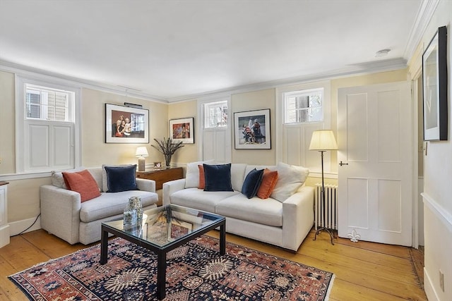 20 Andrew St, Salem, MA 01970 - living area with radiator, crown molding, and light wood-type flooring