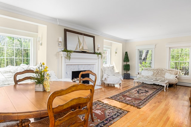 interior space featuring a premium fireplace, wood-type flooring, a baseboard radiator, and ornamental molding