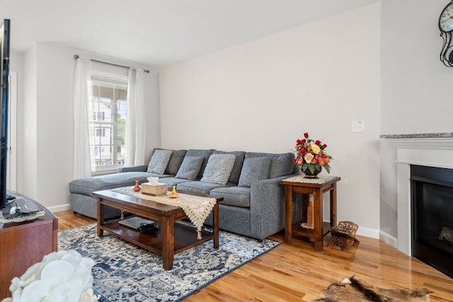 living room with wood-type flooring