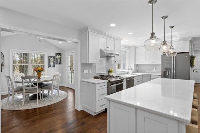 kitchen with dark wood-style flooring, appliances with stainless steel finishes, under cabinet range hood, and tasteful backsplash