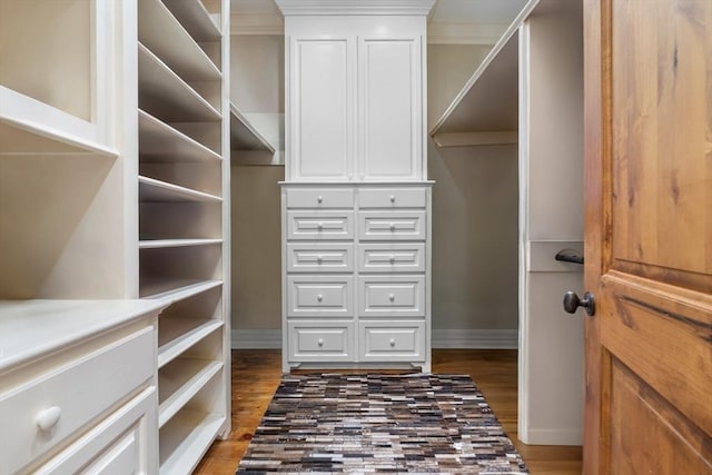 spacious closet featuring wood finished floors