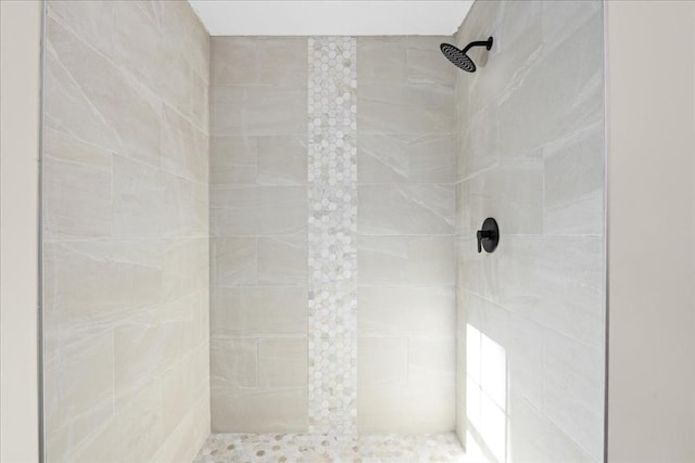 70 Princeton St, Holden, MA 01522 - full bath featuring a tile shower