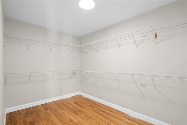 70 Princeton St, Holden, MA 01522 - walk in closet with light wood finished floors